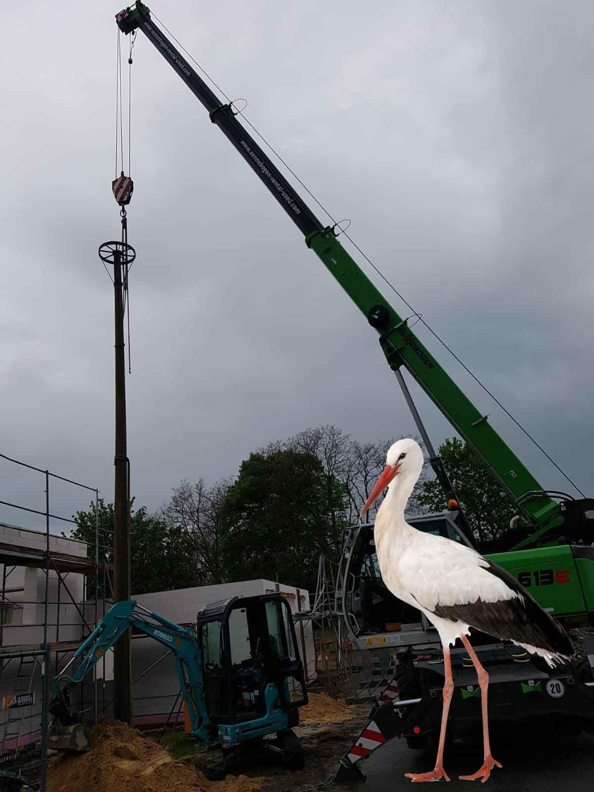 Der Storch bekommt ein neues Zuhause